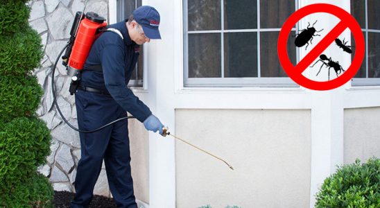 Savaştepe Böcek İlaçlama böcek ilaçlama ve haşere kontrolü — ilaclama-tr.com